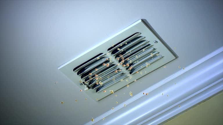 Best Commercial Air Duct Cleaning  in Chatsworth, GA