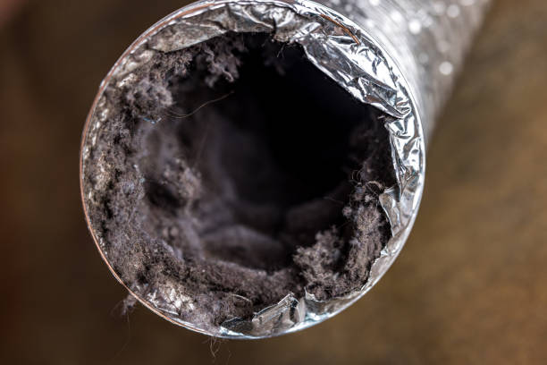 Best Dryer Vent Cleaning Services  in Chatsworth, GA